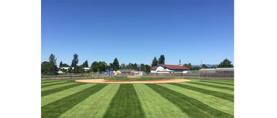 Cub Field 